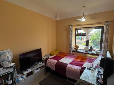 Picture 12